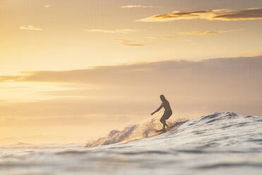 Surfen zum Sonnenaufgang in Costa Rica - CAVF73381