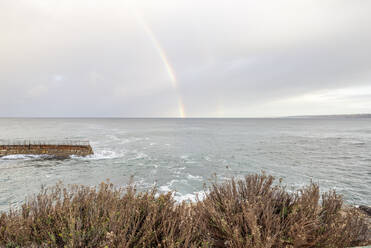 November morning on the La Jolla, California coast. - CAVF73404