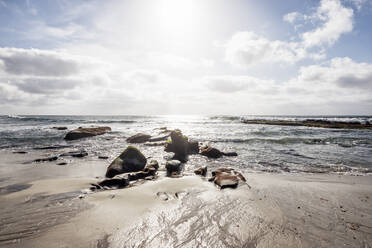 Novembernachmittag am Windansea Beach, La Jolla, CA. - CAVF73405