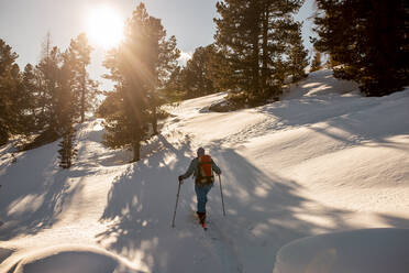 Austria, Carinthia, Reichenau, Nockberge, Falkert, Rear view of man ski touring at sunset - DAWF01164