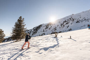 Austria, Carinthia, Reichenau, Nockberge, Falkert, Man ski touring on sunny day - DAWF01168