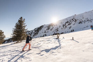 Österreich, Kärnten, Reichenau, Nockberge, Falkert, Mann beim Skitourengehen an einem sonnigen Tag - DAWF01168