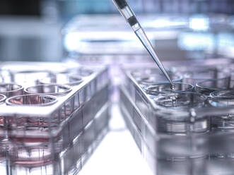 Close-up of sample being pipetted into microplate - ABRF00643