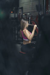Weiblicher Bodybuilder im Fitnessstudio - MTBF00302