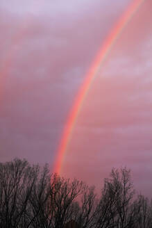 Deutschland, Baden-Württemberg, Regenbogen gegen Himmel in der Abenddämmerung - JTF01455