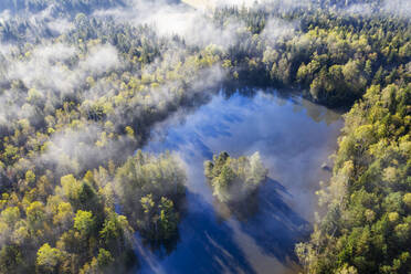 Deutschland, Bayern, Geretsried, Luftaufnahme des nebelverhangenen Birkensees und des umliegenden Waldes - SIEF09401