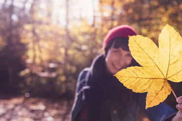 Woman wearing red woolly hat holding yellow autumn leaf - DHEF00022