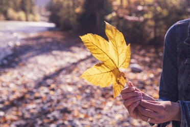 Woman with yellow autumn leaf - DHEF00024