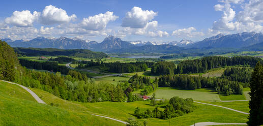 Germany, Swabia, Panorama of green alpine meadows in spring - LBF02844