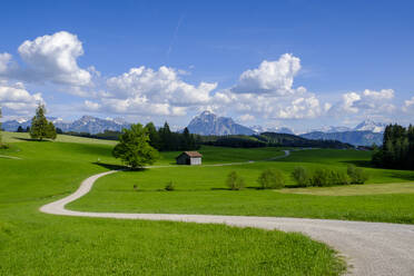 Germany, Swabia, Winding road cutting through alpine meadow in spring - LBF02846