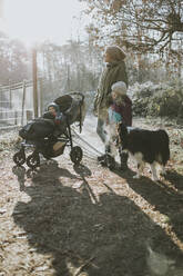 Mutter mit Töchtern und Border Collie bei einem Waldspaziergang im Herbst - DWF00532