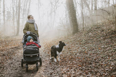 Mother with children and border collie during forest walk in autumn - DWF00535