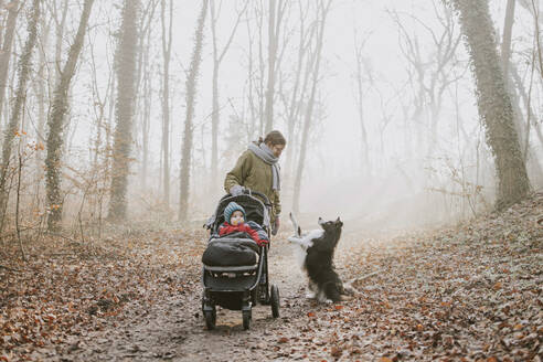 Mutter mit Kindern und Border Collie bei einem Waldspaziergang im Herbst - DWF00536