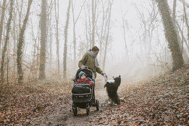 Mother with children and border collie during forest walk in autumn - DWF00537