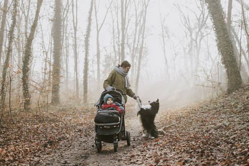 Mutter mit Kindern und Border Collie bei einem Waldspaziergang im Herbst - DWF00537