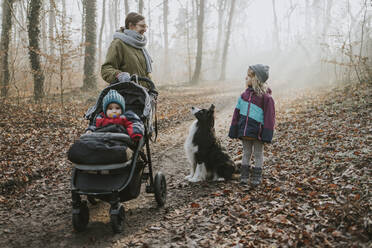 Mutter mit Töchtern und Border Collie bei einem Waldspaziergang im Herbst - DWF00539