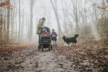 Mother with daughters and border collie during forest walk in autumn - DWF00541