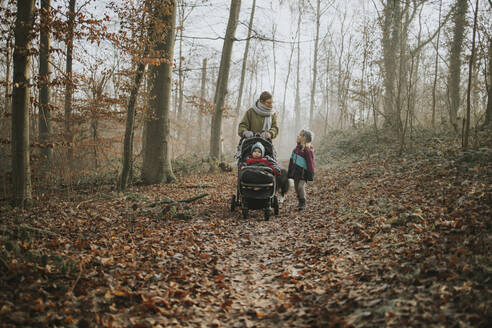 Mutter mit Töchtern und Border Collie bei einem Waldspaziergang im Herbst - DWF00544