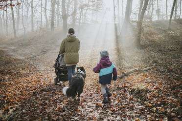 Mother with children and border collie during forest walk in autumn - DWF00551