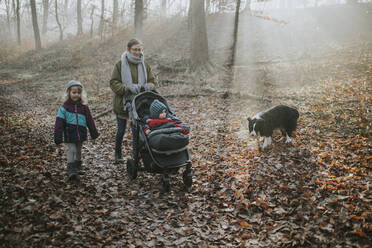 Mother with children and border collie during forest walk in autumn - DWF00552