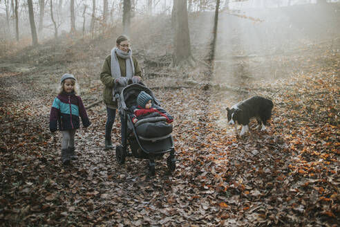 Mutter mit Kindern und Border Collie bei einem Waldspaziergang im Herbst - DWF00552