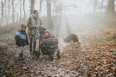 Mutter mit Kindern und Border Collie bei einem Waldspaziergang im Herbst - DWF00553