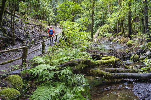 Spanien, Kanarische Inseln, La Gomera, Weibliche Rucksacktouristin beim Wandern entlang eines Baches im Garajonay-Nationalpark, lizenzfreies Stockfoto