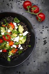 Beluga lentils with tomatoes, peppers, zucchini, feta, mint and parsley - LVF08521