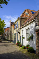 Netherlands, North Holland, Enkhuizen, Row of houses along Zuider Havendijk street - LBF02858