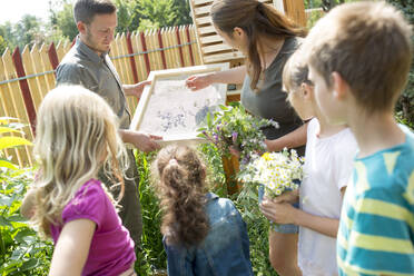 Schulkinder lernen im Rahmen der Naturkunde etwas über Kräuter - WESTF24417