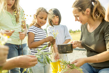 Teacher showing children, how to make a herbal infusion - WESTF24425