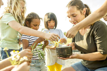 Techer showing children, how to make a herbal infusion - WESTF24427