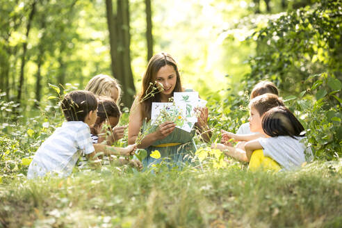 Schulkinder lernen, Pflanzen in der Natur zu erkennen - WESTF24431