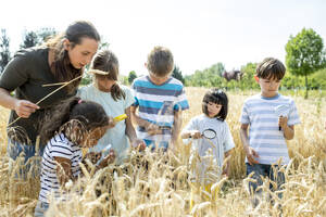 Eine Gruppe von Kindern pflückt Weizen auf einem Feld - WESTF24468
