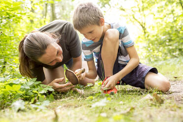 Junge und Tcher untersuchen einen Pilz in der Natur - WESTF24473