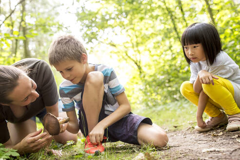 Boy and tcher examining mushroom in nature - WESTF24474