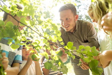 School children examinig leaves on tree with their teacher - WESTF24476