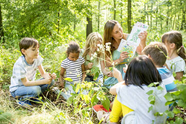 Schulkinder lernen, Pflanzen in der Natur zu erkennen - WESTF24480