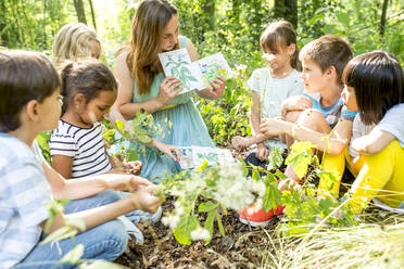 School children learning to recognize plants in nature - WESTF24481