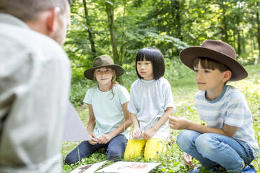 School children learning to distinguish animal species in forest - WESTF24496