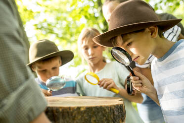 Schulkinder untersuchen die Jahresringe eines Baumstamms - WESTF24509