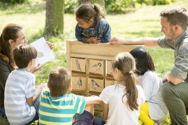 School children learning about bird species - WESTF24519