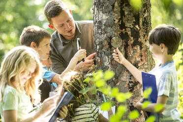 School children examining tree bark in forest with their teacher - WESTF24545