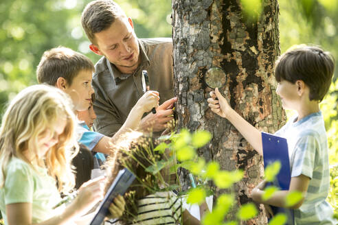 Schulkinder untersuchen mit ihrer Lehrerin Baumrinde im Wald - WESTF24545