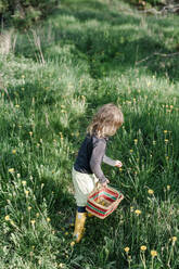 Girl picking dandelions - JOHF05222