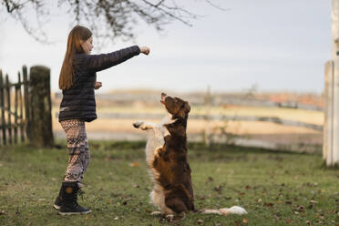 Girl teaching dog tricks - JOHF05255