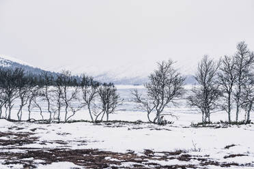 Winterlandschaft - JOHF05284