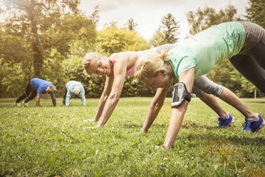 Pushups on a meadow in a park - SDAHF00038