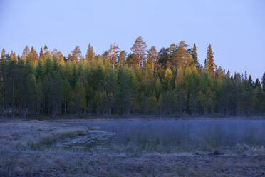 Finnland, Kainuu, Kuhmo, Seeufer in der Herbstdämmerung - ZCF00899