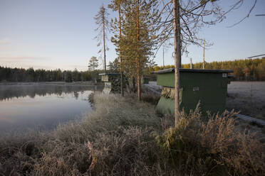 Finnland, Kainuu, Kuhmo, Grasbewachsenes Seeufer in der Herbstdämmerung - ZCF00901